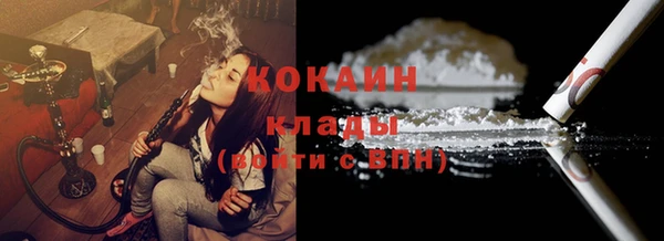 шишки Волоколамск