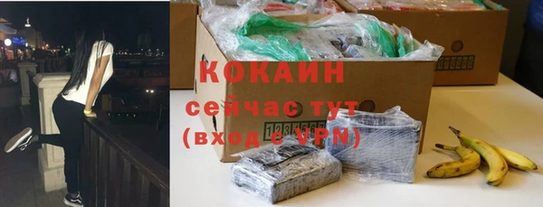 шишки Волоколамск