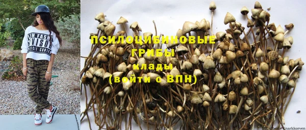 шишки Волоколамск