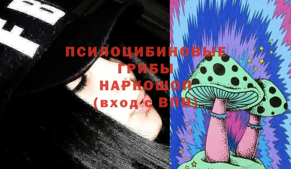 шишки Волоколамск