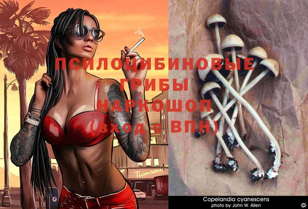 шишки Волоколамск